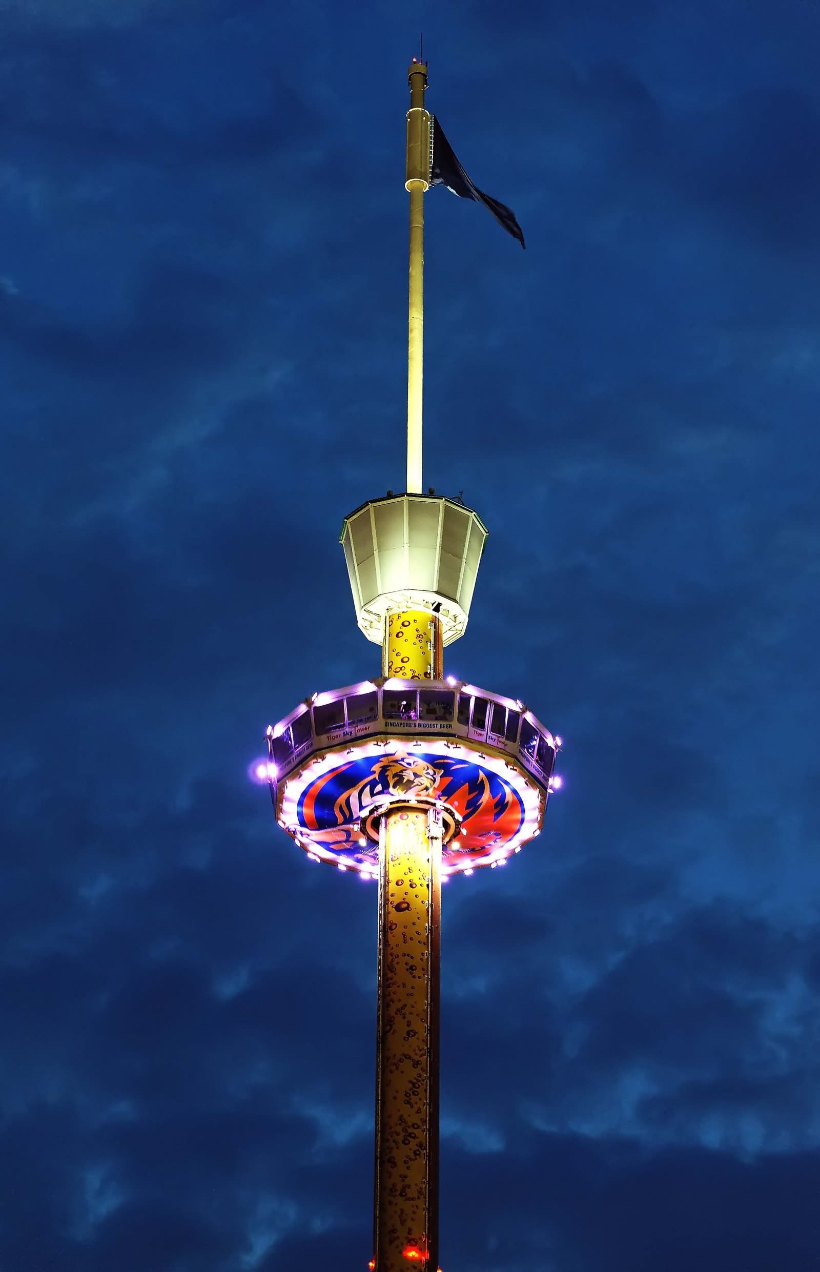Tiger Sky Tower At Night