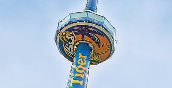 Tiger Sky Tower Cabin Image