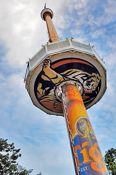 Tiger Sky Tower Image