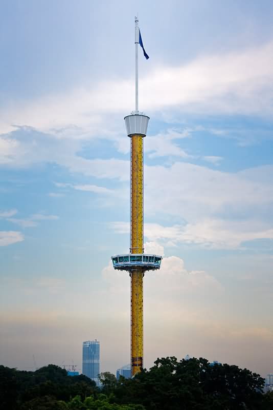 Tiger Sky Tower Photo