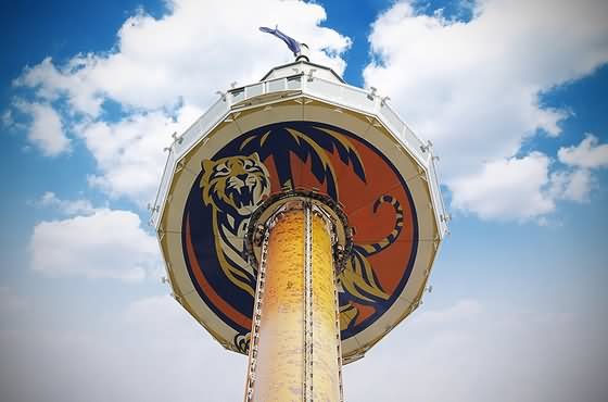 Tiger Sky Tower Picture