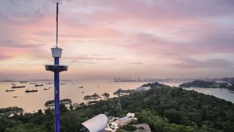Tiger Sky Tower Sunset View