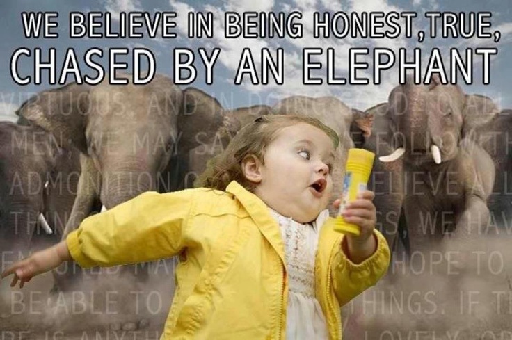 We Believe In Being Honest True Chased By An Elephant Funny Meme Picture