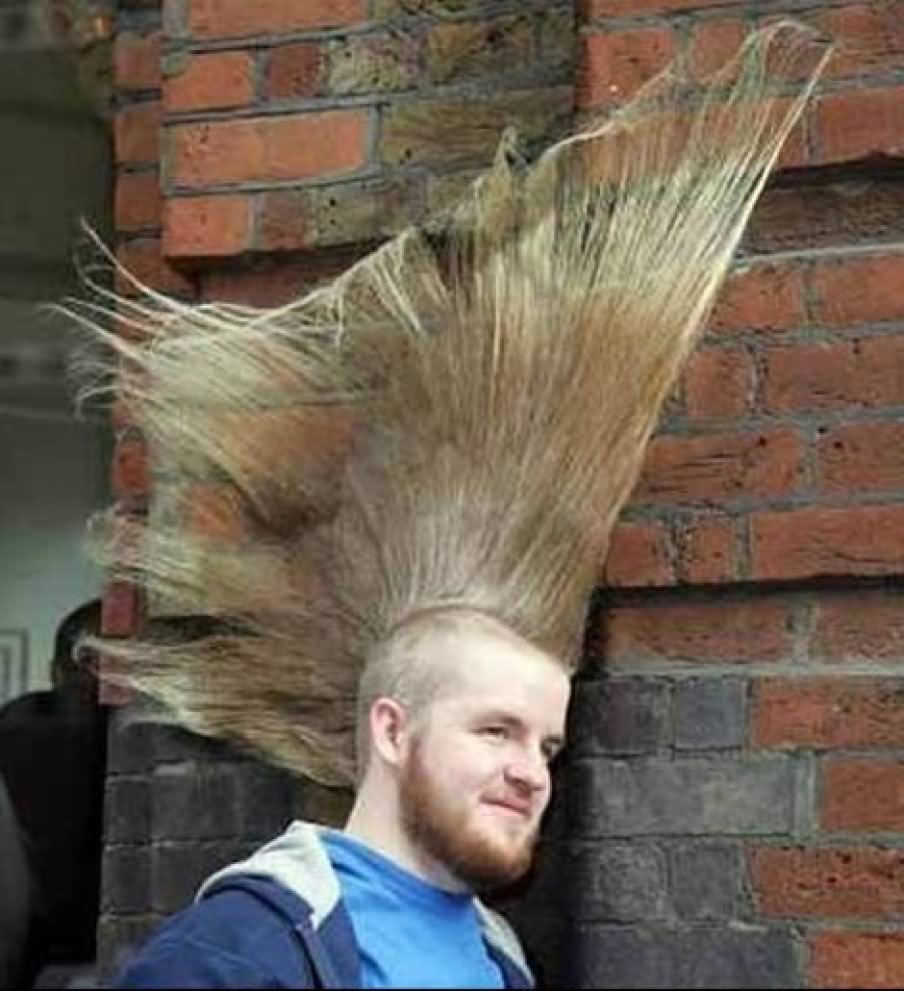 Weird Mohawk Haircuts For Men Funny Photo