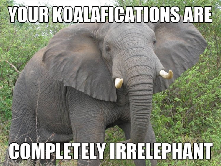 Your Kolafications Are Funny Elephant Meme Photo