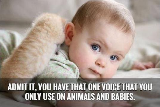 Admit it, you have that one voice that you only use on animals and babies.