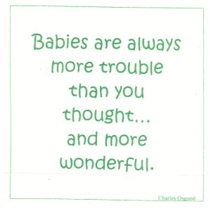 Babies Are Always More Trouble Than You Thought And More Wonderful.