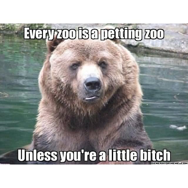 Every Zoo Is A Petting Zoo Unless You Are A Little Bitch Funny Nature Meme Image