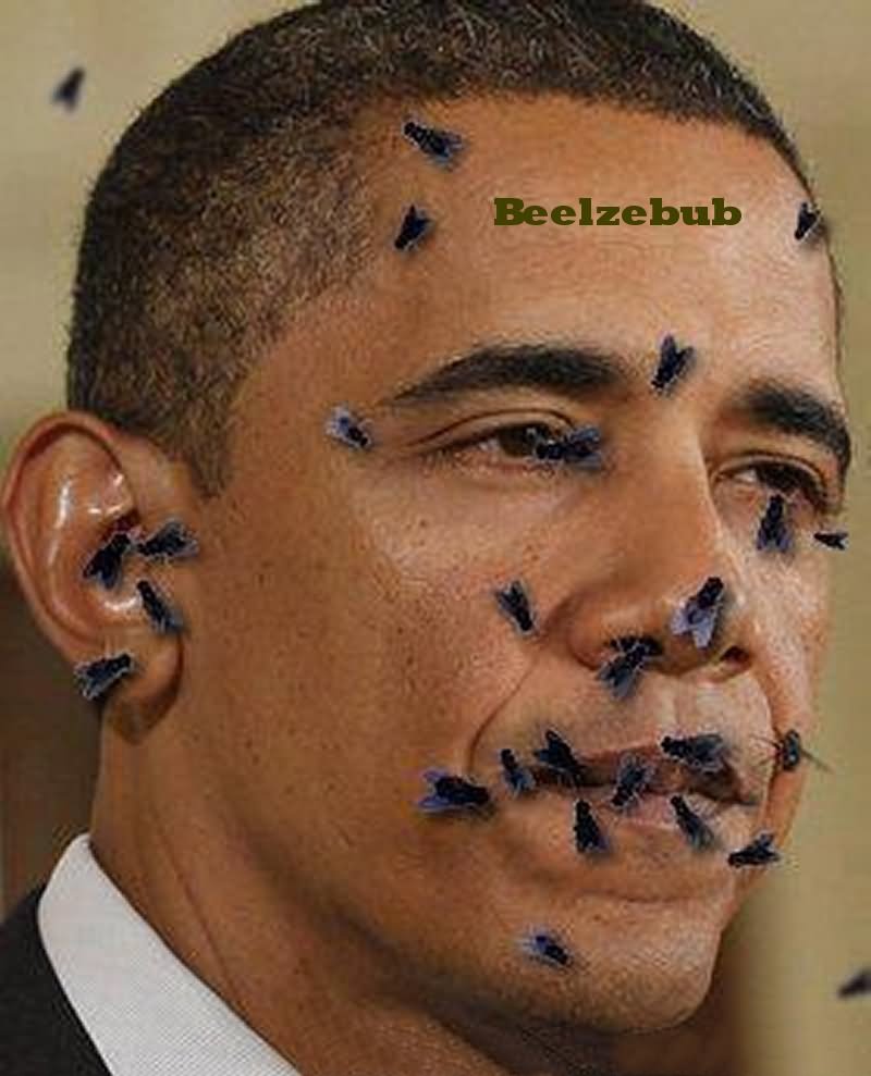 Flies On Obama Face Funny Picture