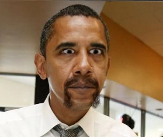 Funny Mustaches Face Obama Photo For Facebook