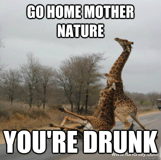 Go Home Mother Nature You Are Drunk Funny Meme Picture