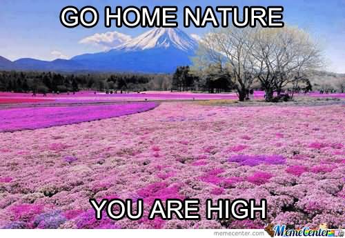 Go Home Nature You Are High Funny Meme Picture