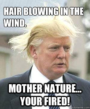 Hair Blowing In The Wind Mother Nature Your Fired Funny Meme Picture