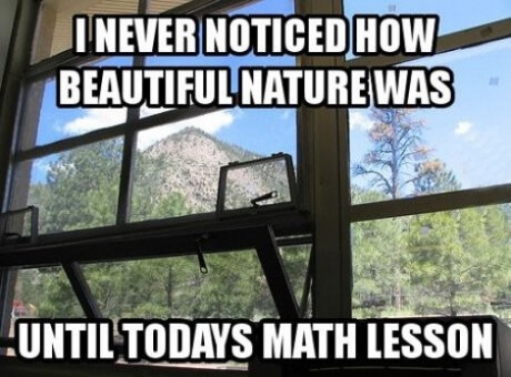I Never Noticed How Beautiful Nature Was Funny Meme Picture