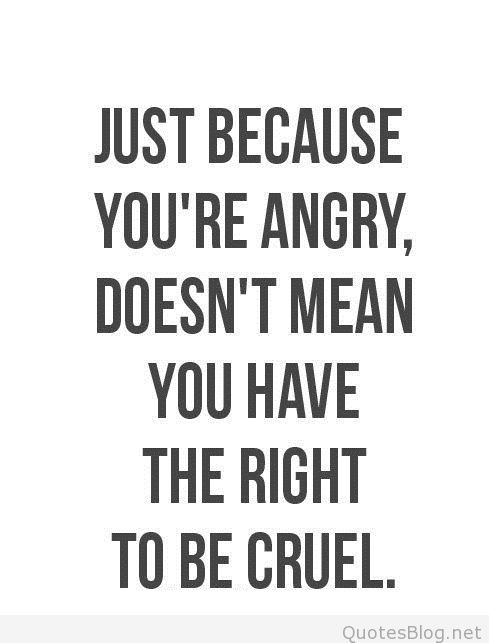 Just because you’re angry , doesn’t mean who have the right to be cruel.