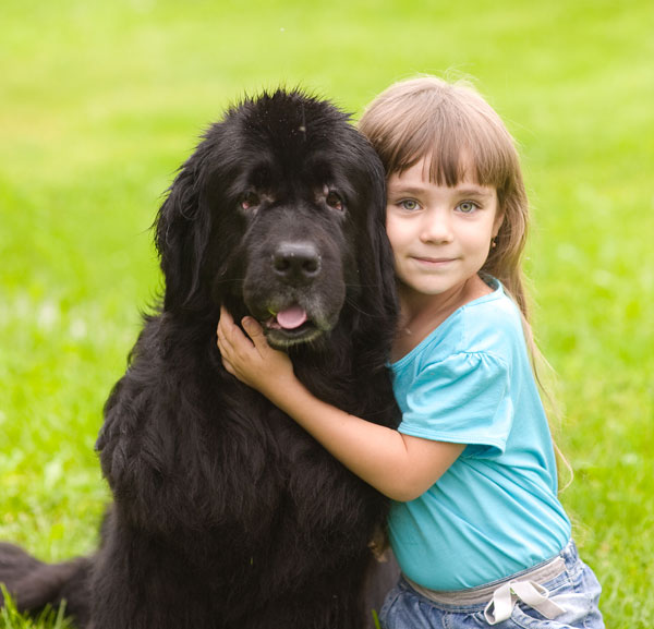 Little Girl With Black Newfoundland Dog