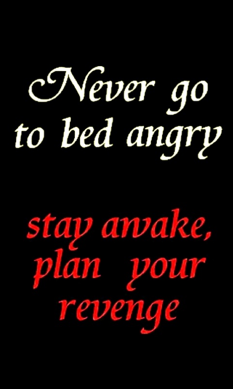 Never Go To Bed Angry Stay Awake, Plan Your Revenge.