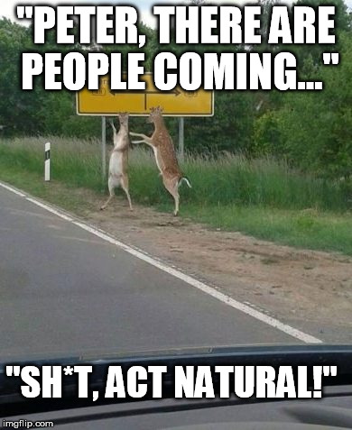 Peter There Are People Coming Funny Nature Meme Image