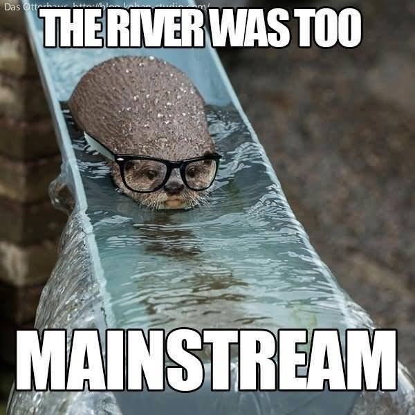 The River Was Too Mainstream Funny Nature Meme Picture