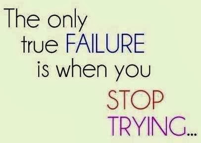 The only true failure is when you stop trying.