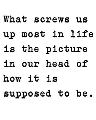 What screws us up the most in life is the picture in our head of what it's supposed to be.  -  Socrates