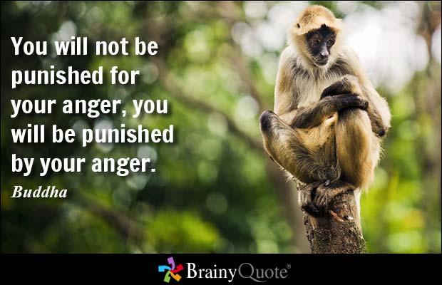 You will not be punished for your anger, you will be punished by your anger  - Buddha