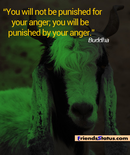 You will not be punished for your anger, you will be punished by your anger -  Buddha