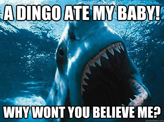 A Dingo Ate My Baby Why Wont You Believe Me Funny Shark Meme Picture For Facebook
