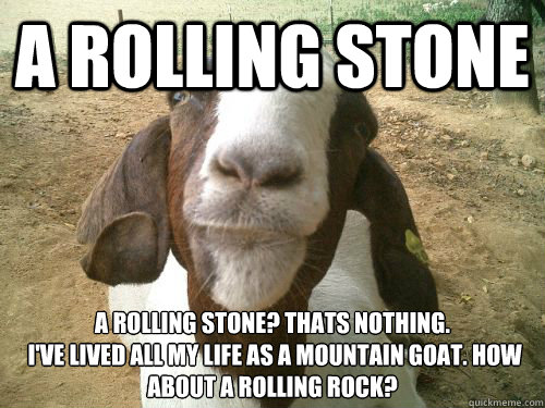 A Rolling Stone Funny Goat Meme Photo