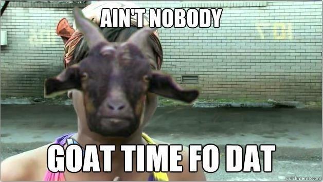 Ain't Nobody Goat Time Fo Dat Funny Goat Meme Image
