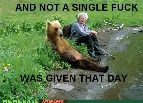 And Not A Single Fuck Was Given That Day Funny Bear Meme Picture
