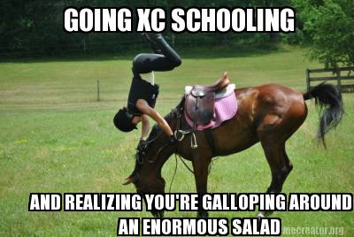 And Realizing You Are Galloping Around An Enormous Salad Funny Horse Meme Image