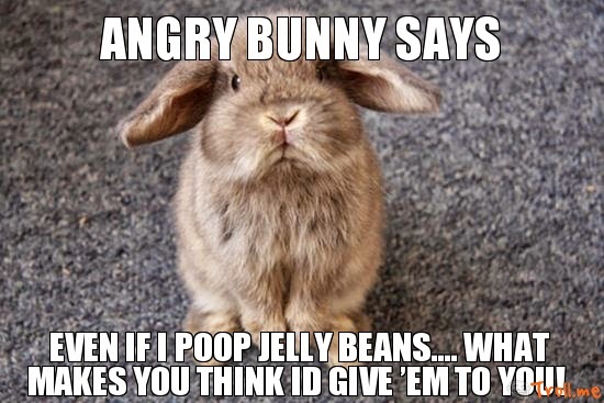 Angry Bunny Says Funny Rabbit Meme Image