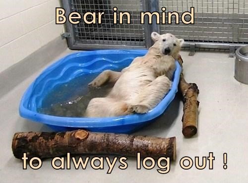 Bear In Mind to Always Log Out Funny Meme Picture
