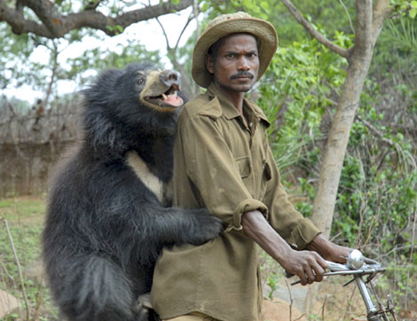 Bear With Man On Cycle Funny Face Picture For Whatsapp