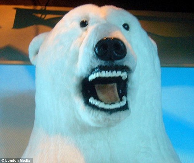 Bear With Open Mouth Face Funny Picture