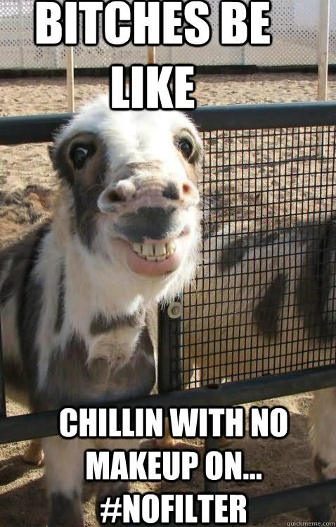 Bitches Be Like Funny Donkey Meme Picture
