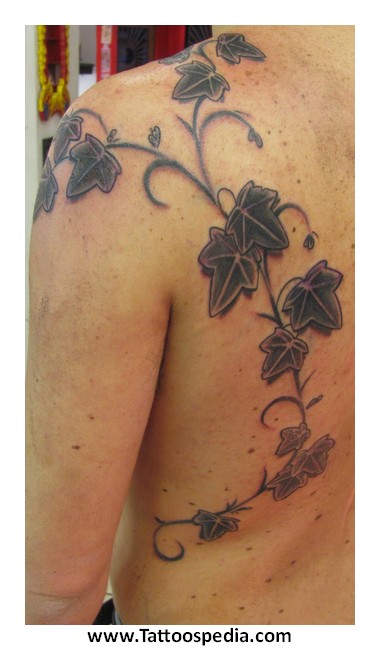 Black Ink Leaves Vine Tattoo On Man Left Back Shoulder