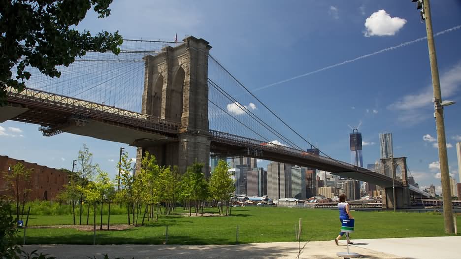 Brooklyn Bridge Park Picture