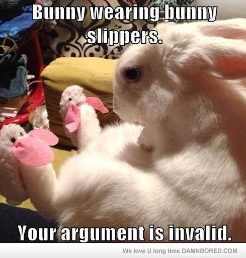 Bunny Wearing Bunny Slippers Funny Rabbit Meme Picture
