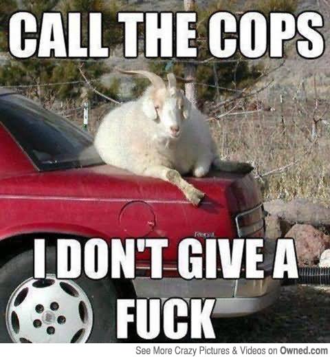 Call The Cops I Don’t Give A Fuck Funny Goat Meme Picture
