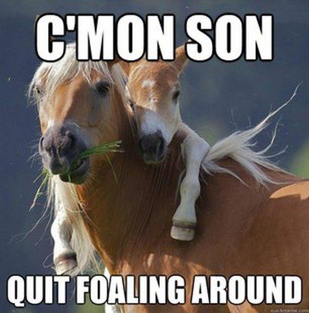 C’mon Son Funny Horse Meme Picture For Facebook
