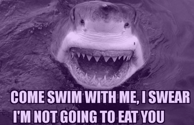 Come Swim With Me I Swear I Am Not Going To Eat You Funny Shark Meme Image