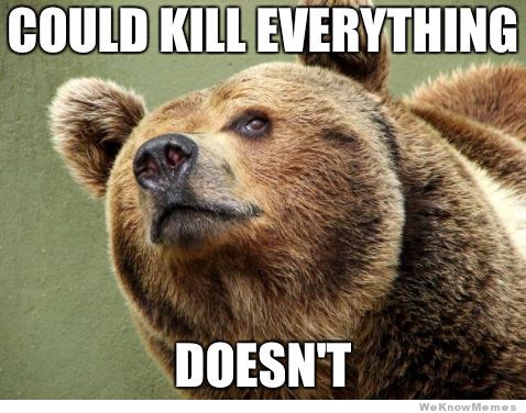 Could Kill Everything Doesn’t Funny Bear Meme Picture