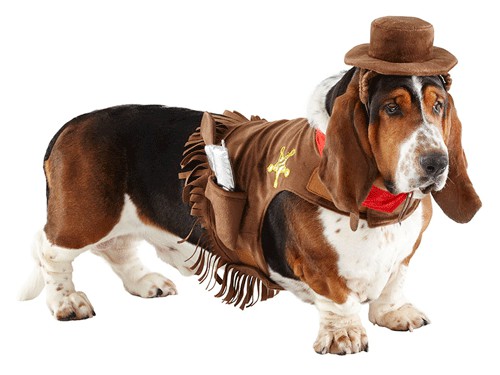Cowboy Costume For Pets Funny Photo