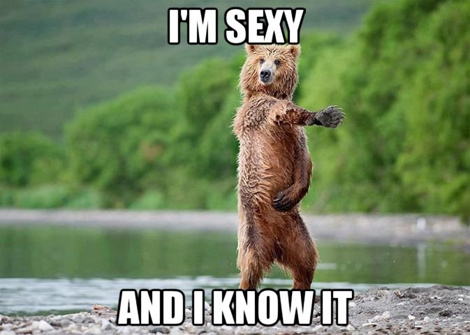 Dancing Bear Funny Meme Picture For Facebook
