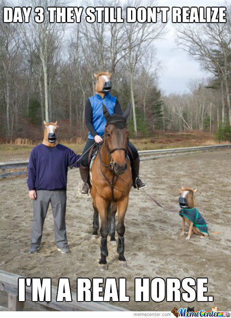 Day 3 They Still Don't Realize I Am A Real Horse Funny Meme Photo