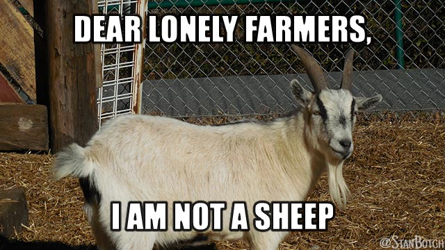 Dear Lonely Farmers I Am Not A Sheep Funny Goat Meme Photo