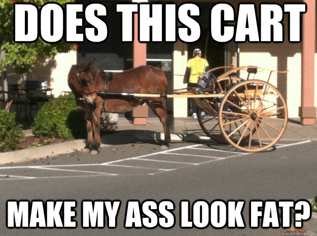 Does This Cart Make My Ass Look Fat Funny Donkey Image