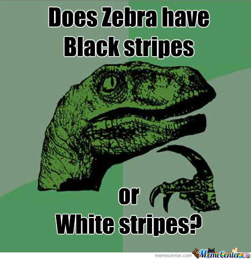 Does Zebra Have Black Stripes Or white Stripes Funny Meme Image